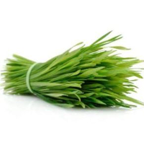 organic wheatgrass